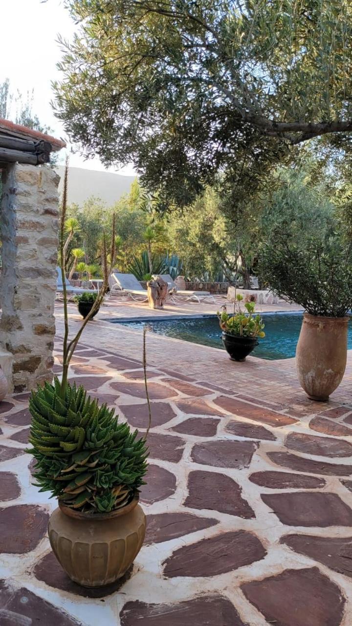 Sel D Ailleurs, Atlas Mountain Retreat - Adults Only Ouirgane Buitenkant foto