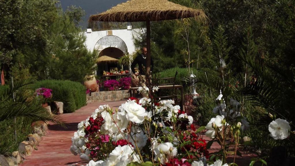 Sel D Ailleurs, Atlas Mountain Retreat - Adults Only Ouirgane Buitenkant foto