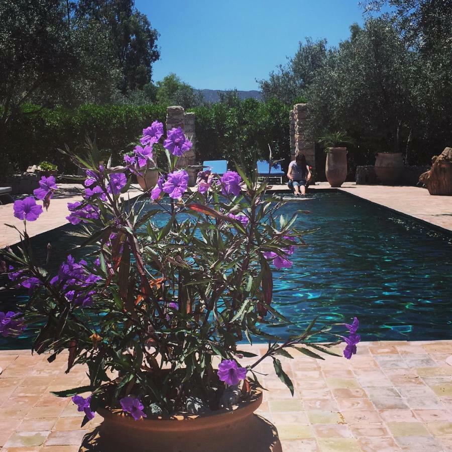 Sel D Ailleurs, Atlas Mountain Retreat - Adults Only Ouirgane Buitenkant foto